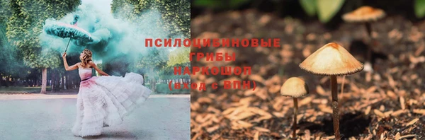 гидропоника Ессентукская