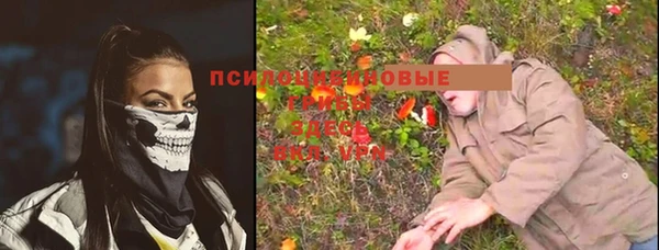 ешки Новосибирск