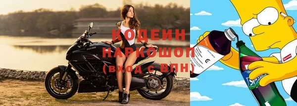 ешки Новосибирск