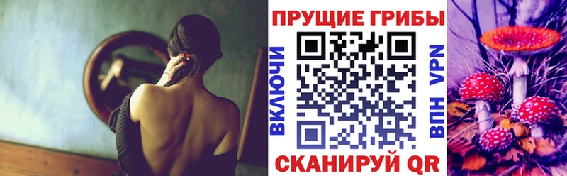 Псилоцибиновые грибы мухоморы  купить наркоту  hydra рабочий сайт  Аксай 
